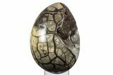 Septarian Dragon Egg Geode ( / lbs!) - Black Crystals #329503-1